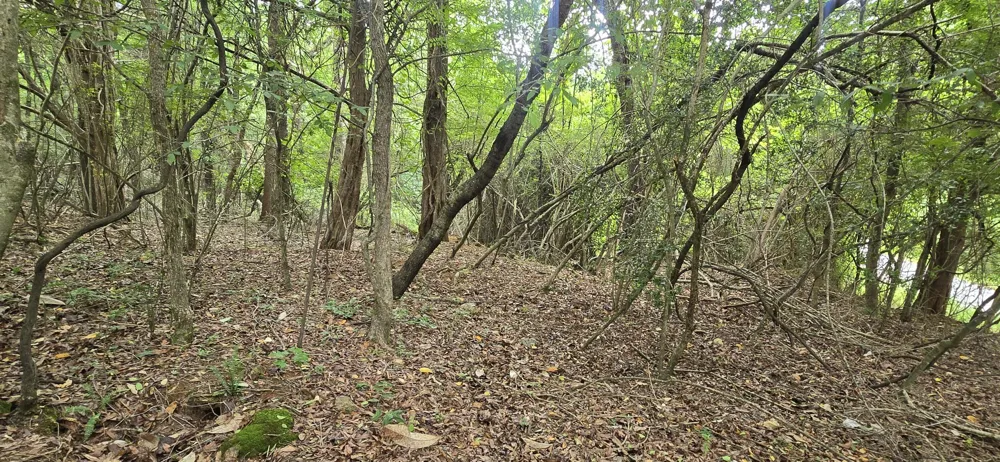 Valley Road SW Cave Spring, GA 30124