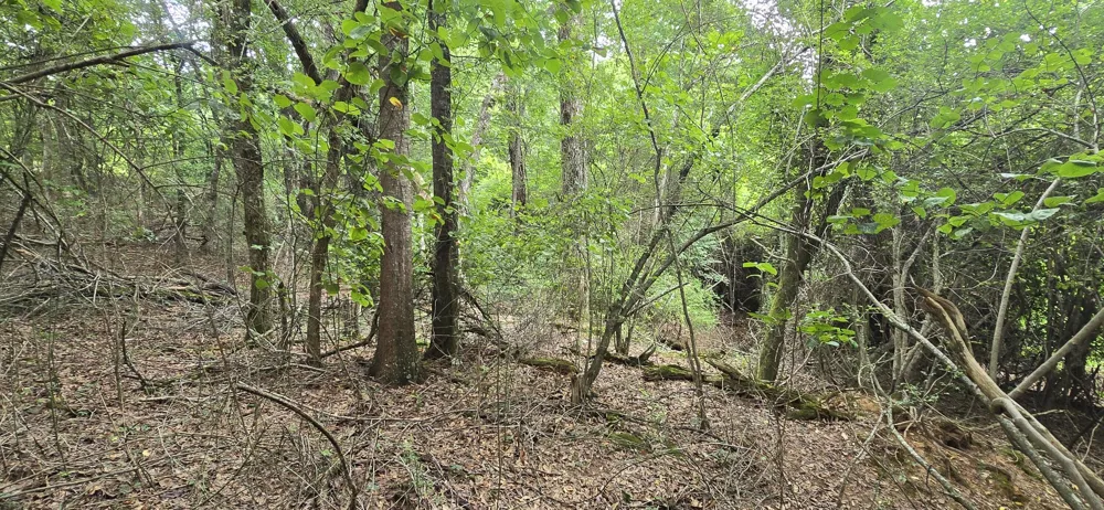 Valley Road SW Cave Spring, GA 30124