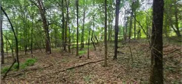 Valley Road SW Cave Spring, GA 30124