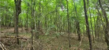 Valley Road SW Cave Spring, GA 30124