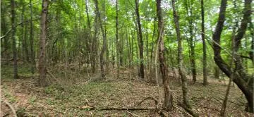 Valley Road SW Cave Spring, GA 30124