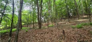 Valley Road SW Cave Spring, GA 30124