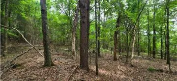 Valley Road SW Cave Spring, GA 30124