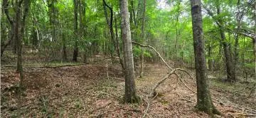Valley Road SW Cave Spring, GA 30124