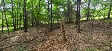 Valley Road SW Cave Spring, GA 30124