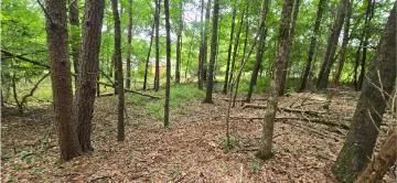 Valley Road SW Cave Spring, GA 30124