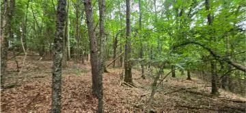 Valley Road SW Cave Spring, GA 30124