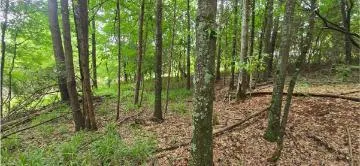 Valley Road SW Cave Spring, GA 30124