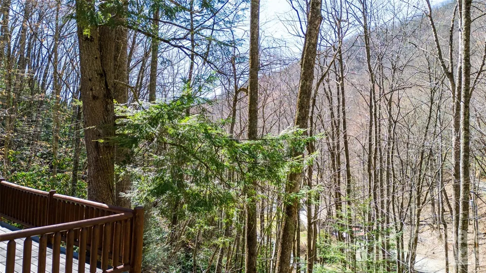 3548 Dicks Creek Road Whittier, NC 28789