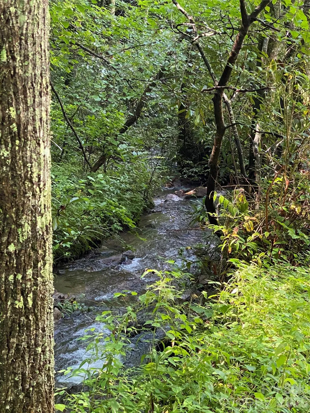 3548 Dicks Creek Road Whittier, NC 28789