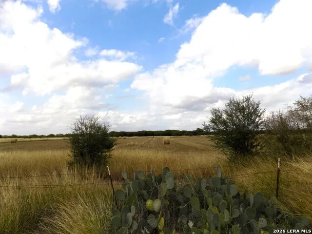 1175 MOSES RD Quemado, TX 78877