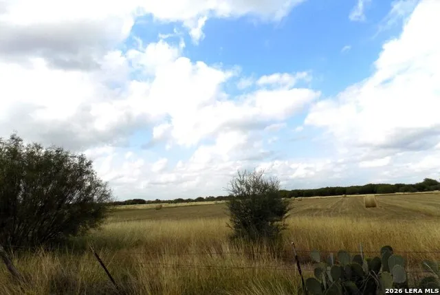 1175 MOSES RD Quemado, TX 78877