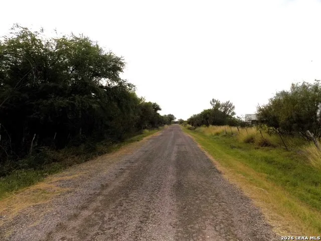 1175 MOSES RD Quemado, TX 78877