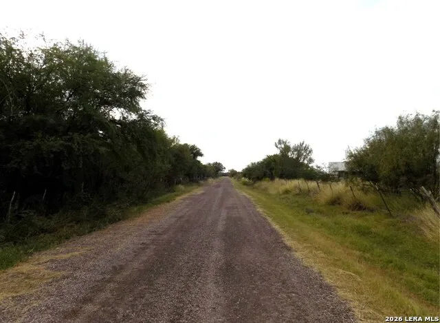 1175 MOSES RD Quemado, TX 78877