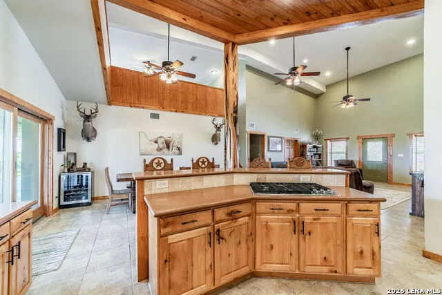 548 Franklin Ln Yancey, TX 78886