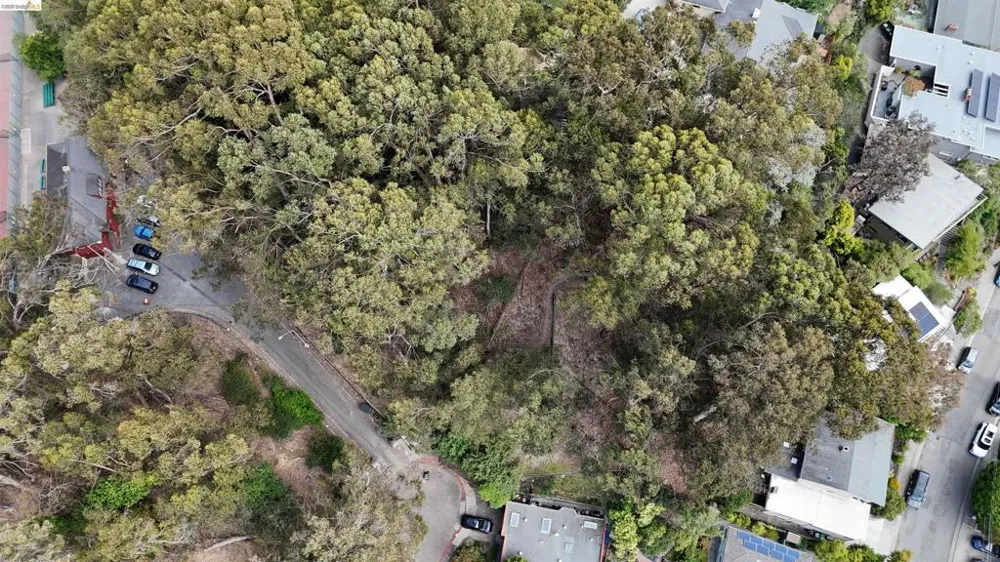 195 Oak Rd Piedmont, CA 94610