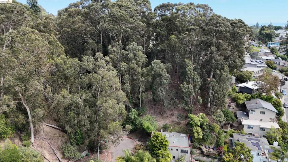 195 Oak Rd Piedmont, CA 94610