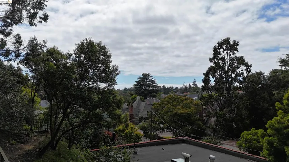 195 Oak Rd Piedmont, CA 94610