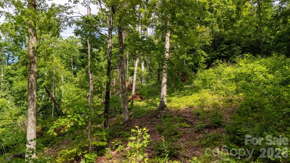 Lot 146 Shire Lane #146 Union Mills, NC 28139