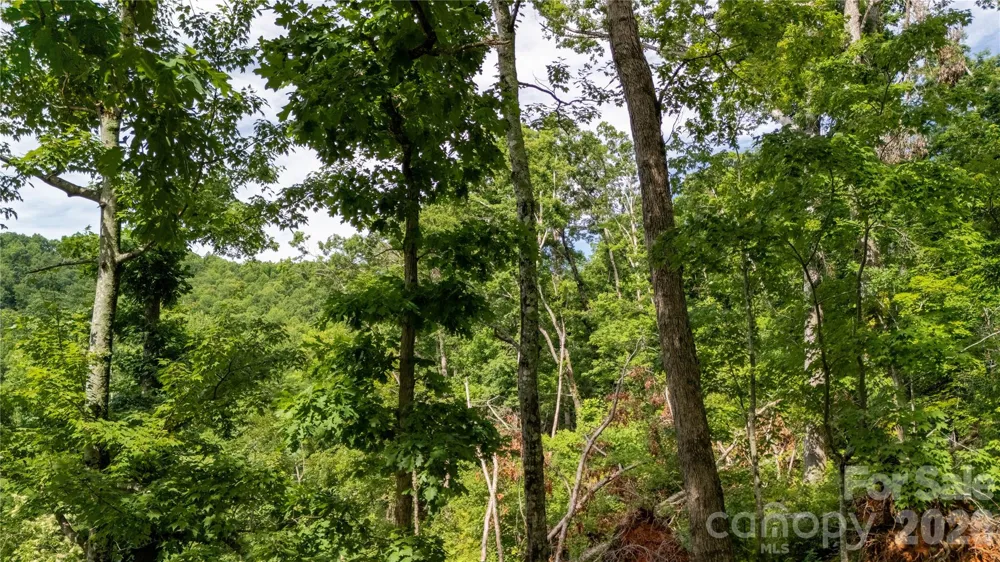 Lot 146 Shire Lane #146 Union Mills, NC 28139