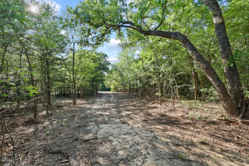 County Road 265 Collinsville, TX 76233