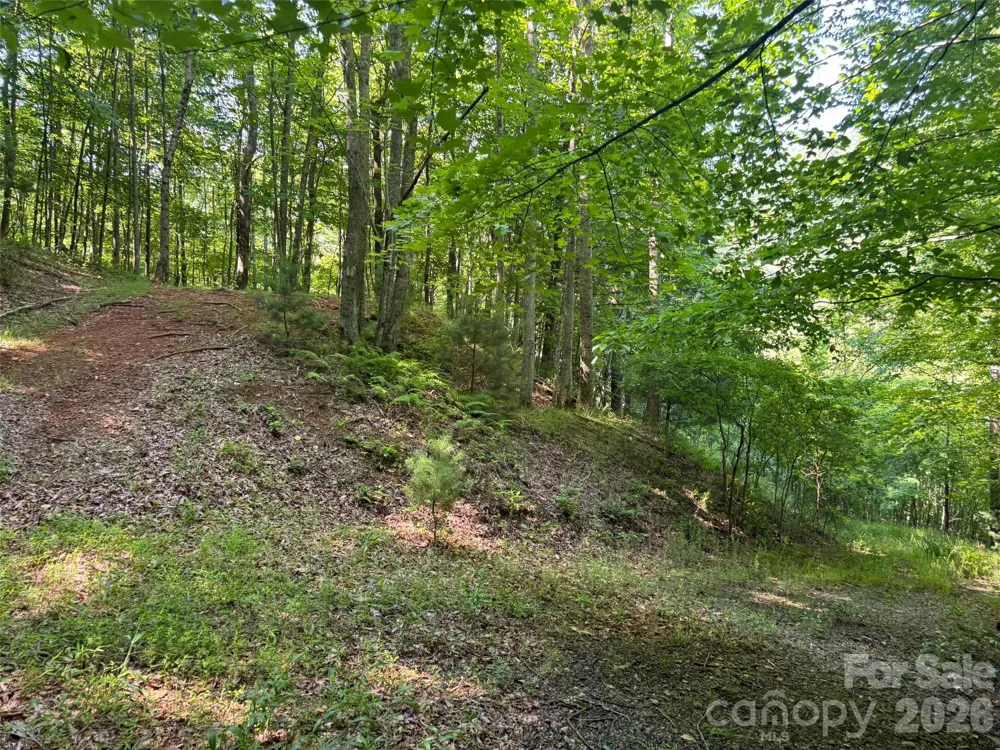 856 Stoney Stream Lane #146 & 147 Arden, NC 28704
