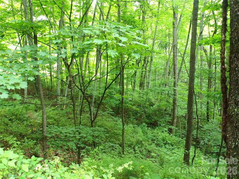 00 Sage Lane #4 Waynesville, NC 28785