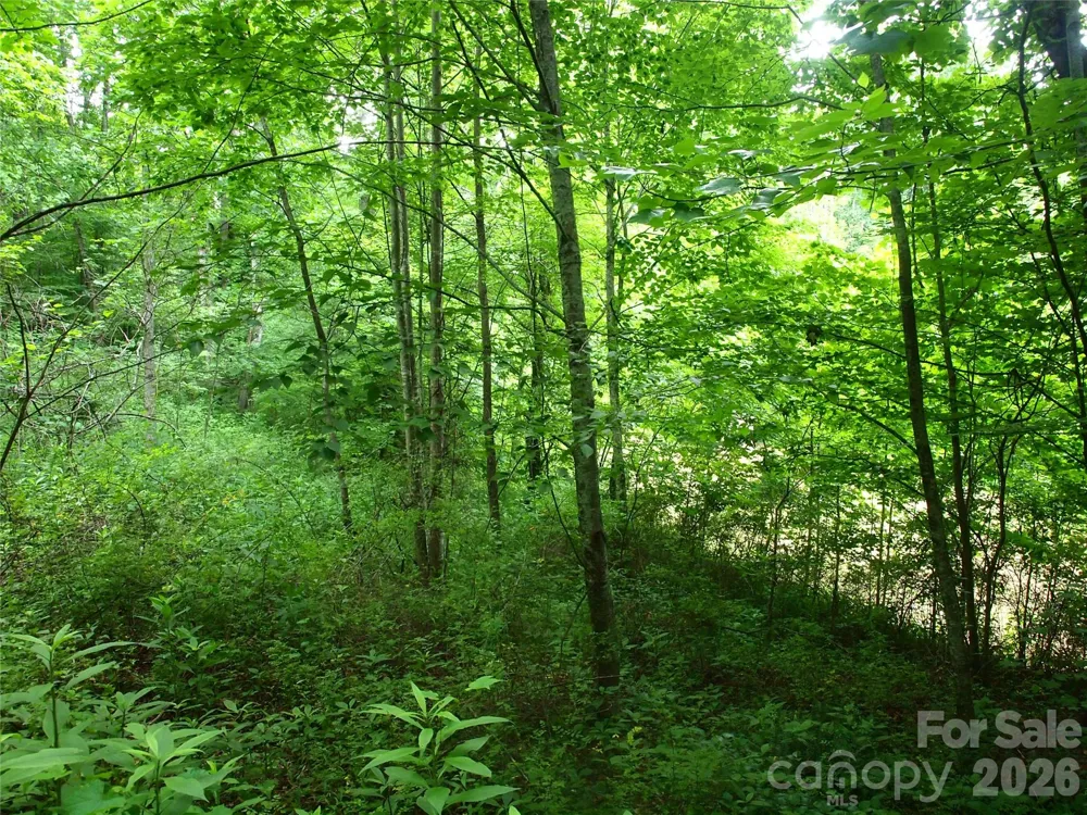 00 Sage Lane #4 Waynesville, NC 28785