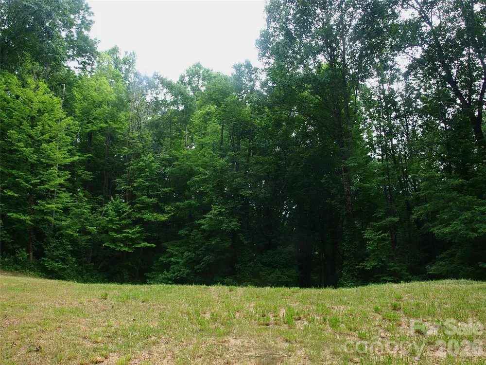 00 Sage Lane #4 Waynesville, NC 28785