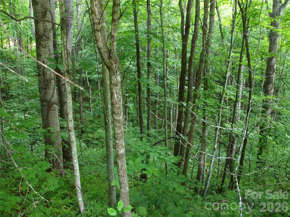 00 Sage Lane #4 Waynesville, NC 28785