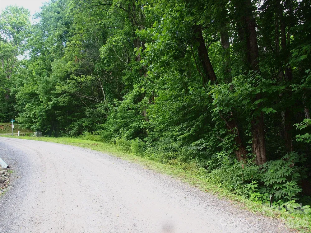 00 Sage Lane #4 Waynesville, NC 28785
