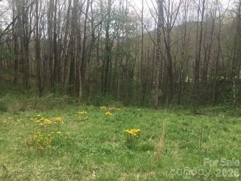 00 Sage Lane #4 Waynesville, NC 28785