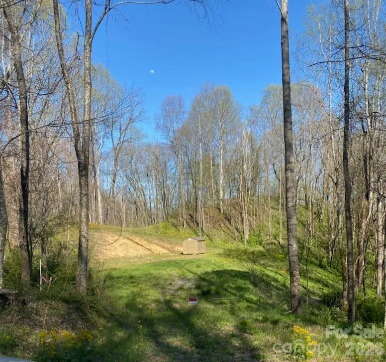 00 Sage Lane #4 Waynesville, NC 28785