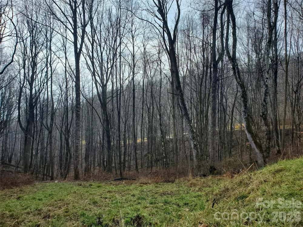 00 Sage Lane #4 Waynesville, NC 28785