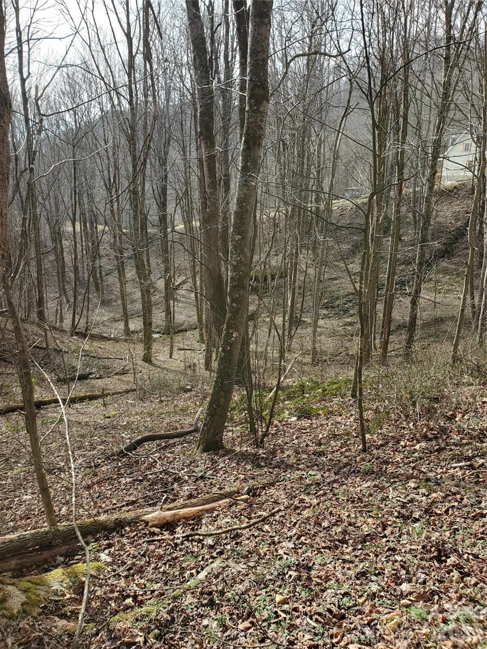 00 Sage Lane #4 Waynesville, NC 28785