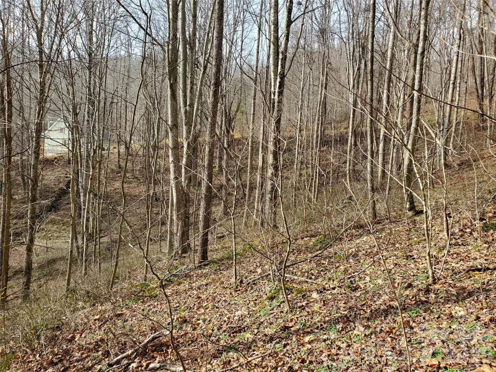 00 Sage Lane #4 Waynesville, NC 28785
