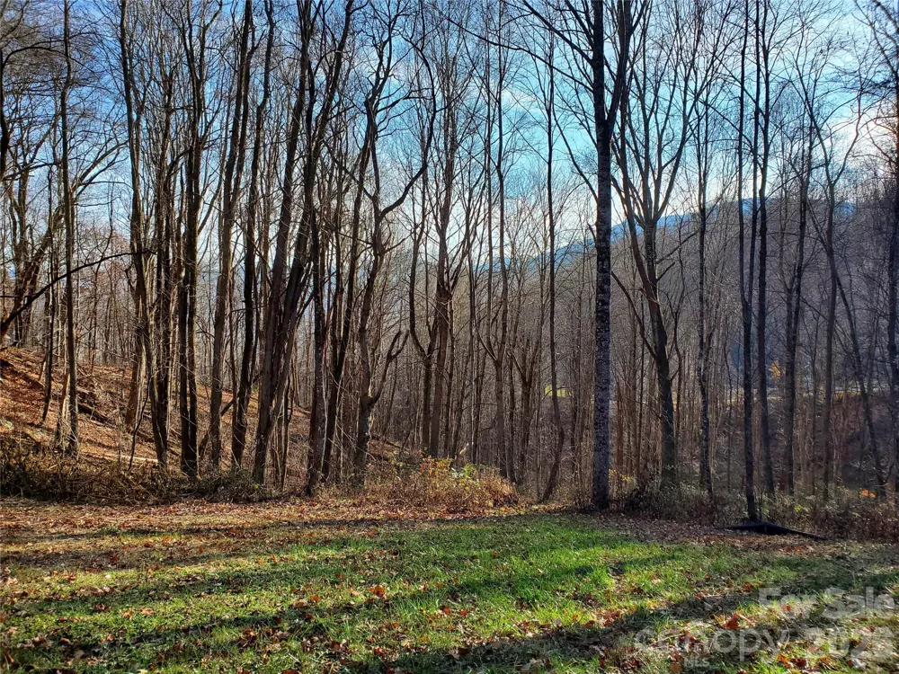 00 Sage Lane #4 Waynesville, NC 28785