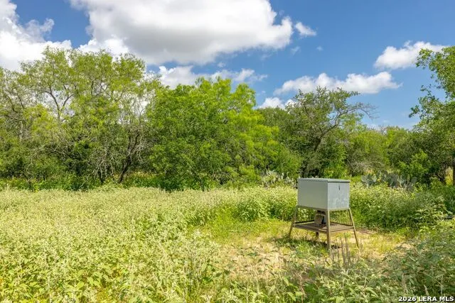 237 County Road 393 Runge, TX 78151