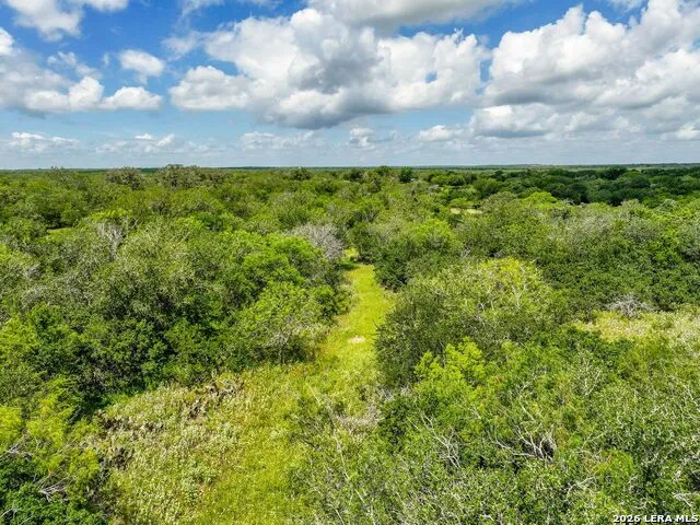 237 County Road 393 Runge, TX 78151