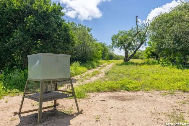 237 County Road 393 Runge, TX 78151