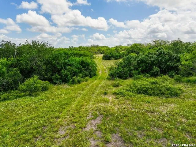 237 County Road 393 Runge, TX 78151