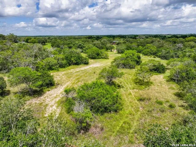 237 County Road 393 Runge, TX 78151