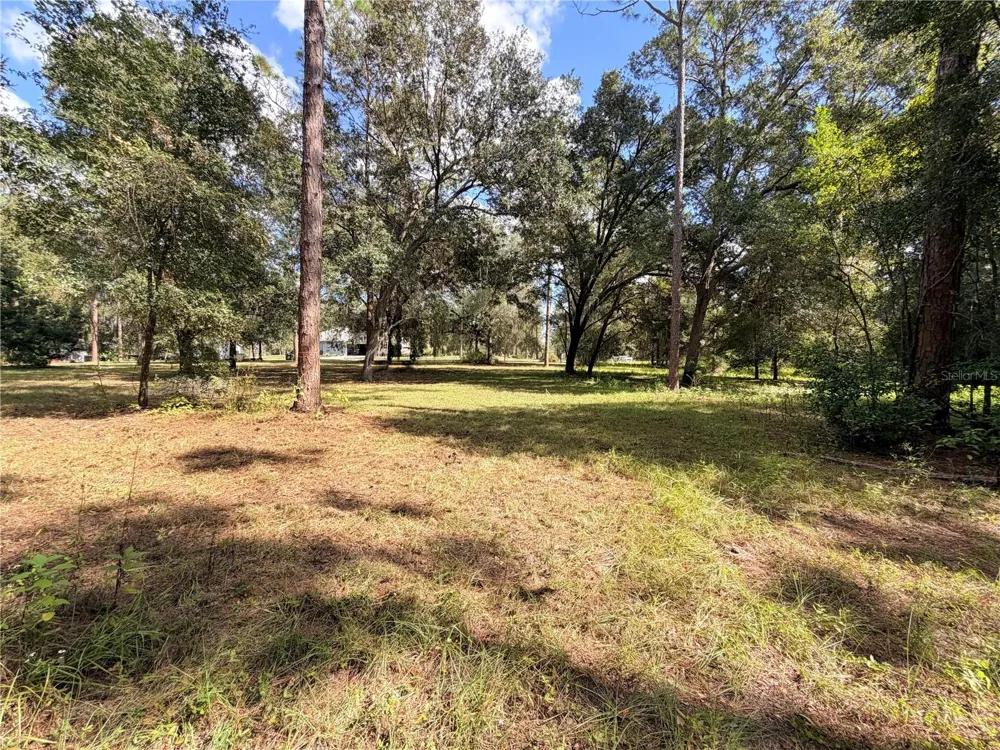 BONSMARA DRIVE Groveland, FL 34736
