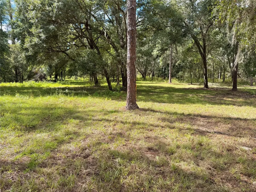 BONSMARA DRIVE Groveland, FL 34736