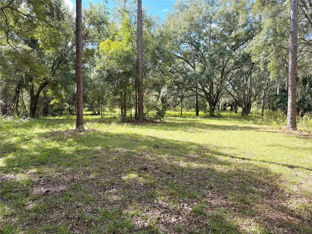 BONSMARA DRIVE Groveland, FL 34736