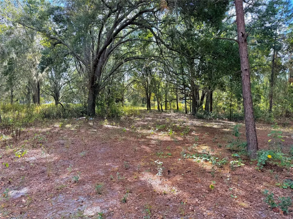 BONSMARA DRIVE Groveland, FL 34736