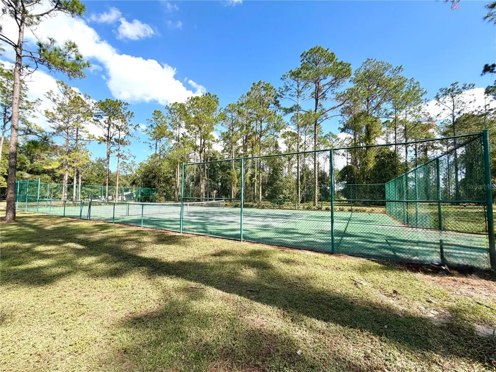 BONSMARA DRIVE Groveland, FL 34736
