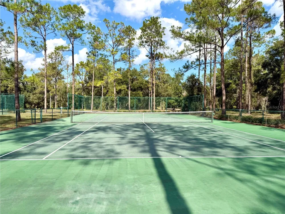 BONSMARA DRIVE Groveland, FL 34736