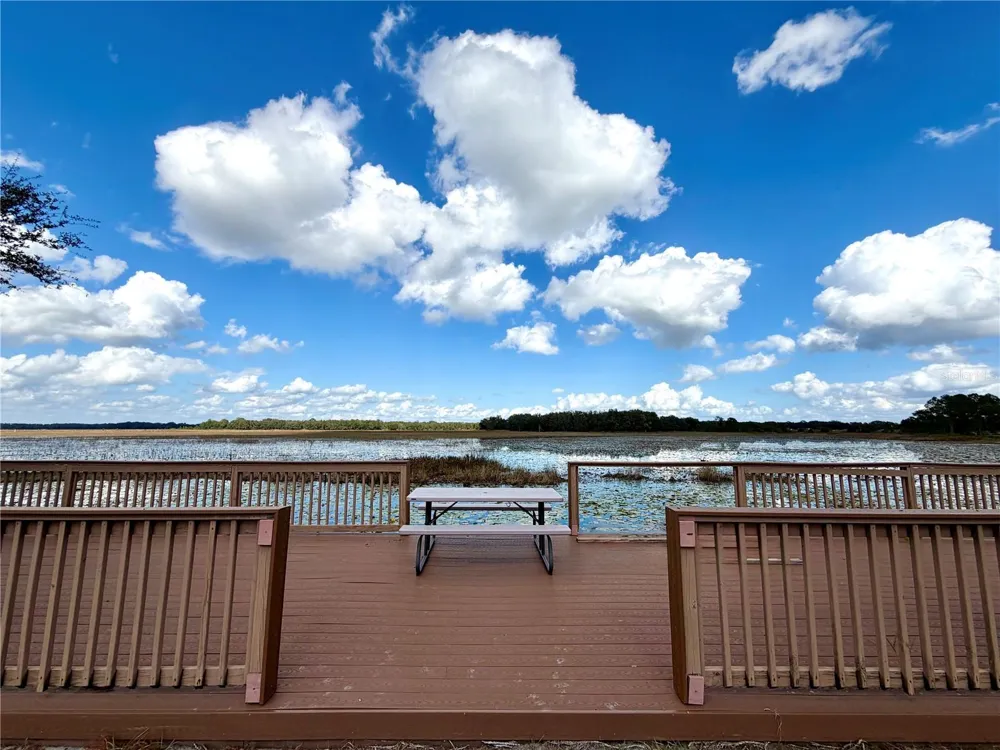 BONSMARA DRIVE Groveland, FL 34736