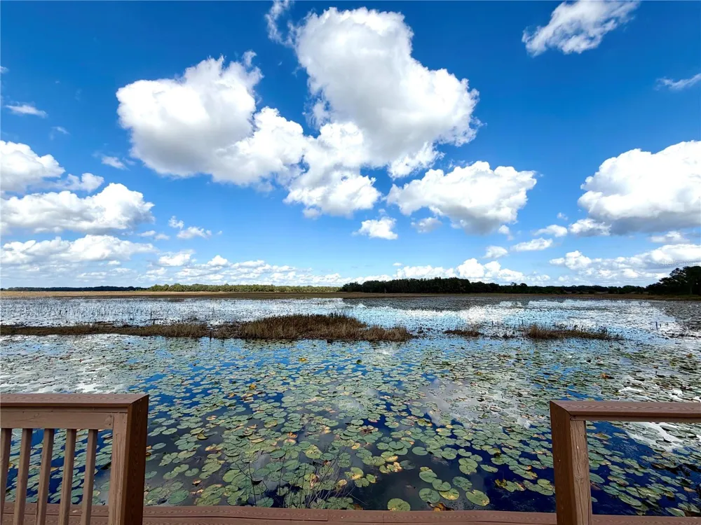 BONSMARA DRIVE Groveland, FL 34736